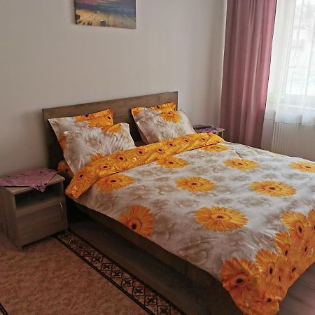 Câmpulung MoldovenescApartament Bucovinaアパートメント エクステリア 写真