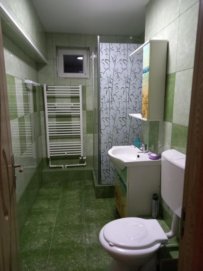Câmpulung MoldovenescApartament Bucovinaアパートメント エクステリア 写真