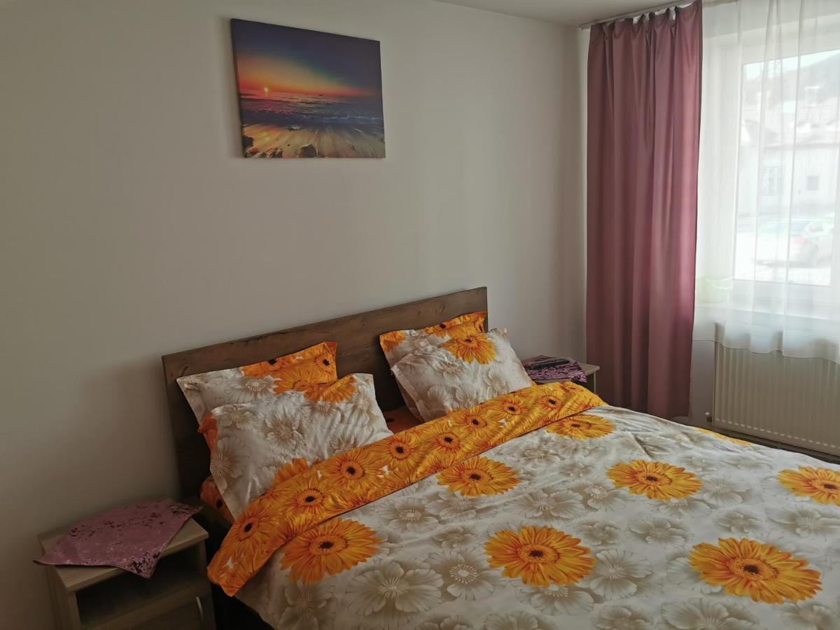 Câmpulung MoldovenescApartament Bucovinaアパートメント エクステリア 写真